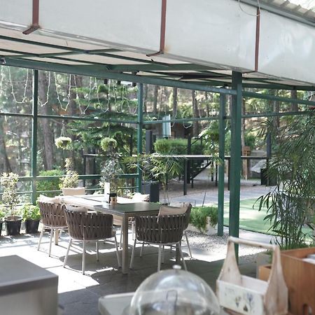 Kasauli Hills Resort Exterior foto